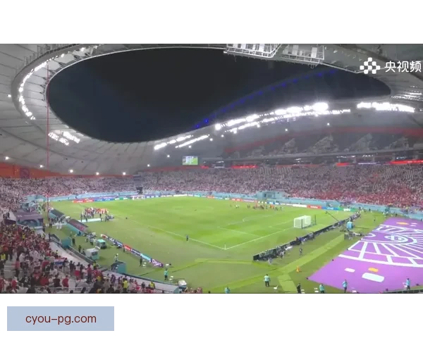 聚焦世界杯出线形势五大要素全景解析各队命运走向关键变量与博弈逻辑
